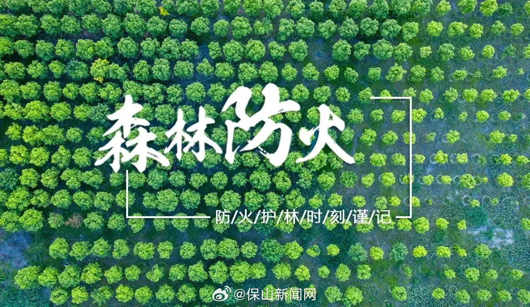 腾冲市：推深做实林长制 筑牢森林防火线