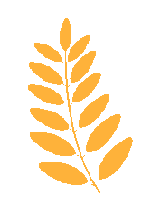 昆明公共文化云