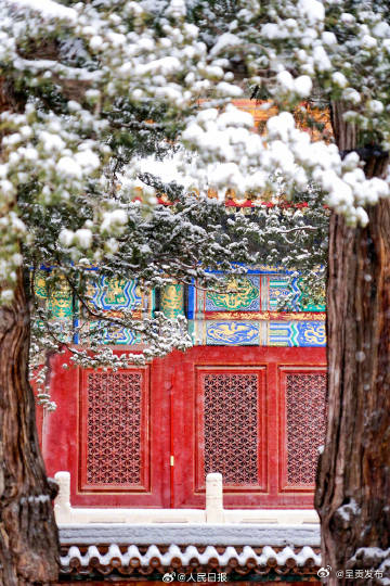 故宫白雪红墙的氛围感_http://www.mainten.cn_cns_第5张