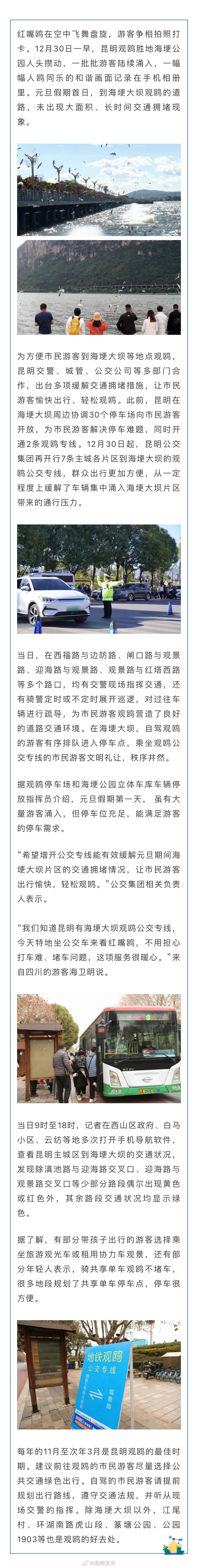 海埂大坝片区“导航绿” 市民愉快观鸥