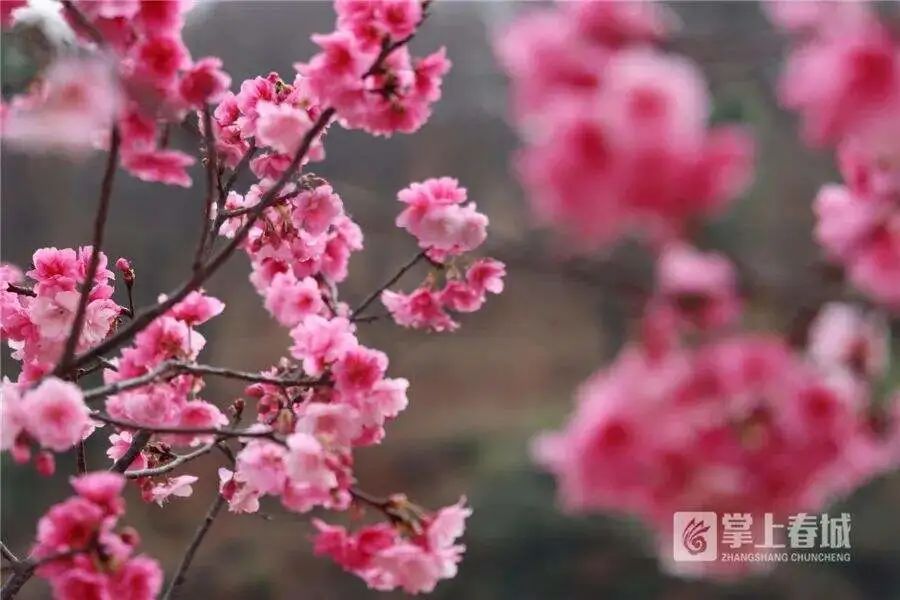 昆明文旅