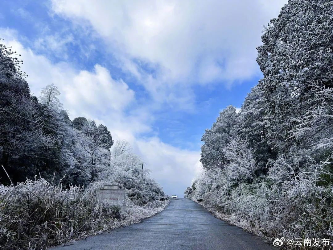 云南发布