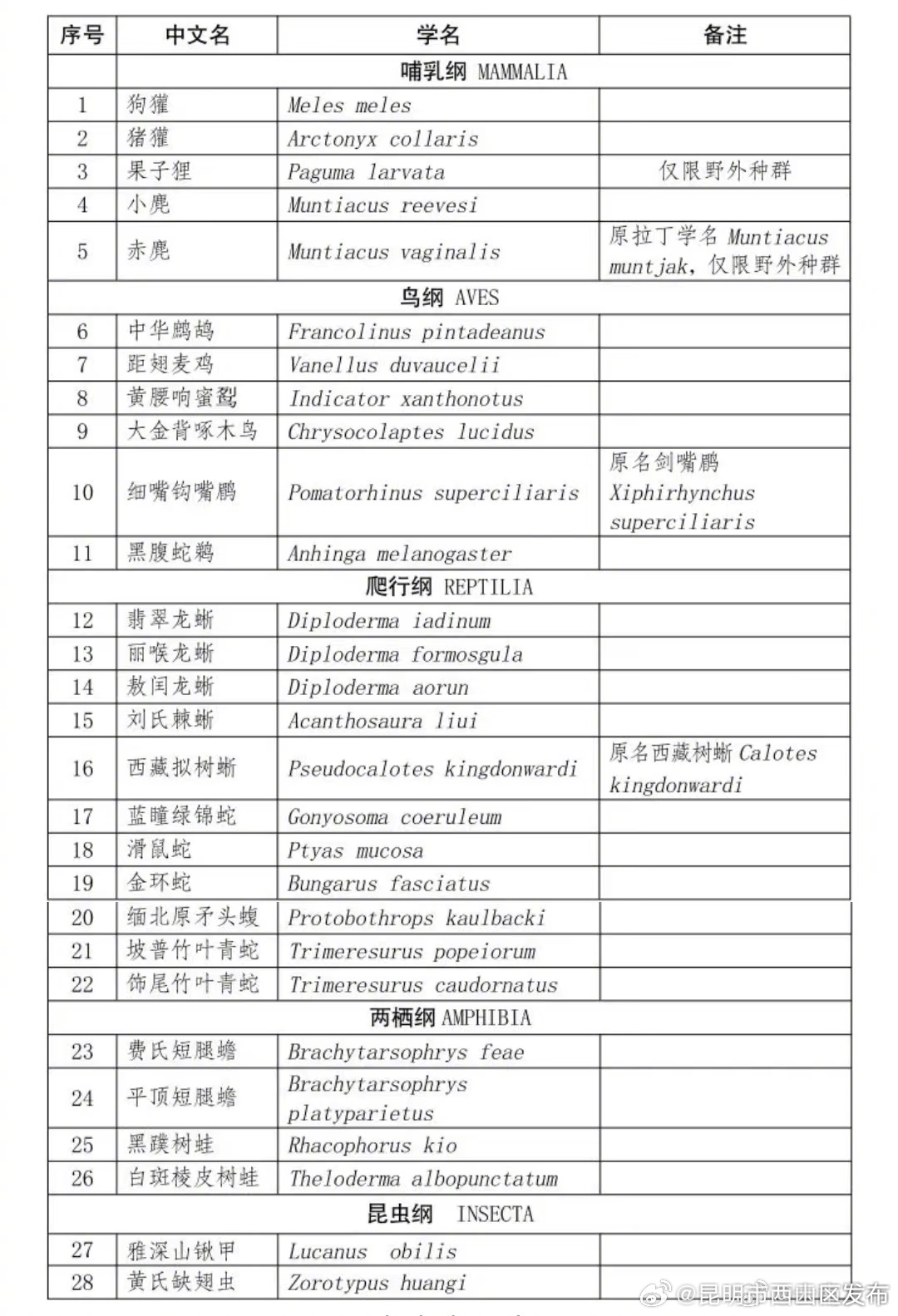 28个！云南省重点保护陆生野生动物名录出炉