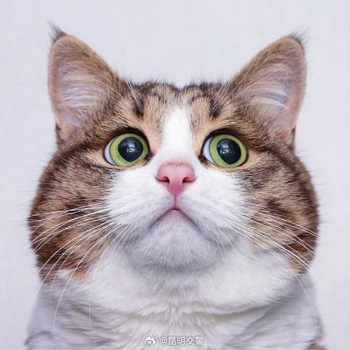 昆明交警