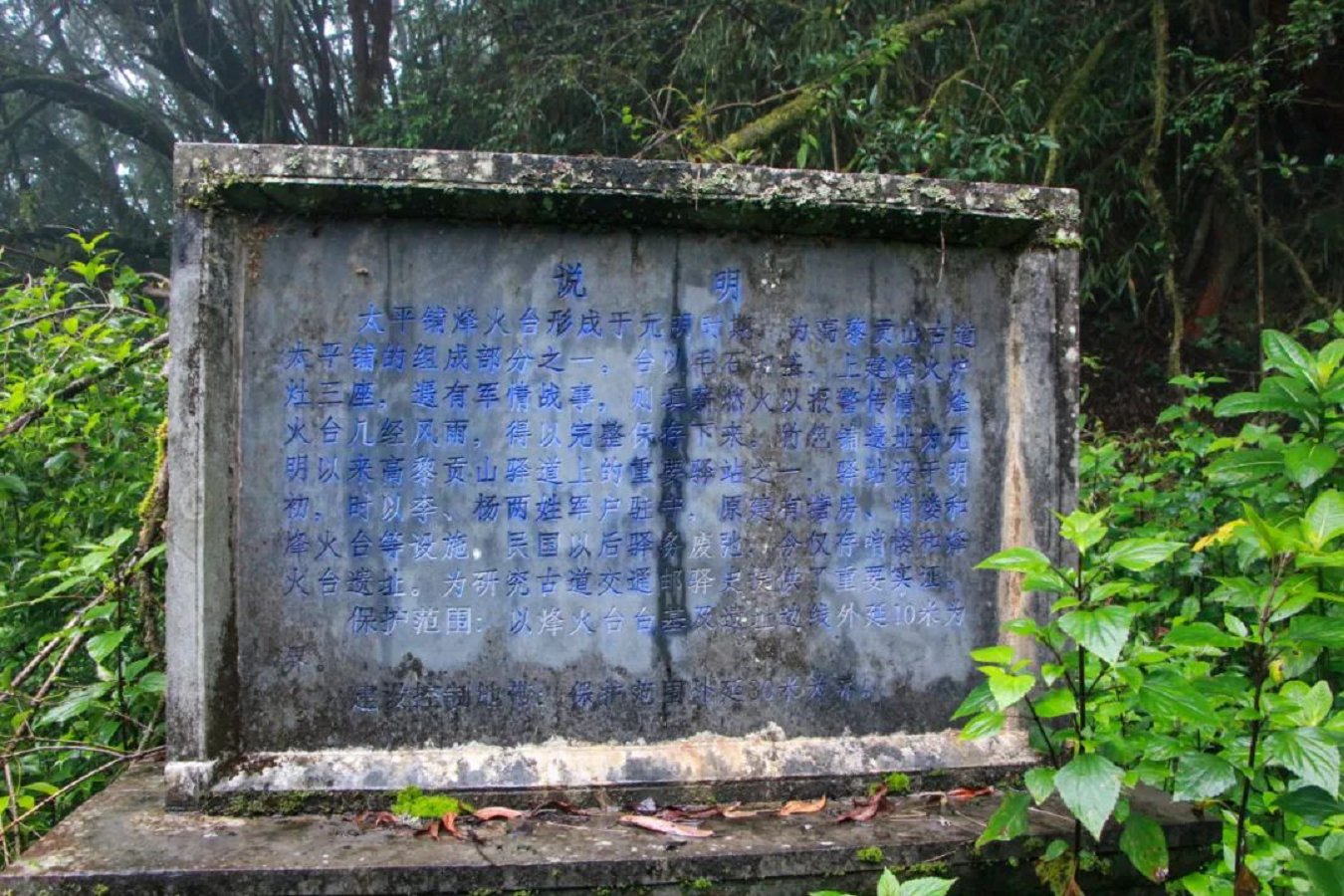 云南省文化和旅游厅
