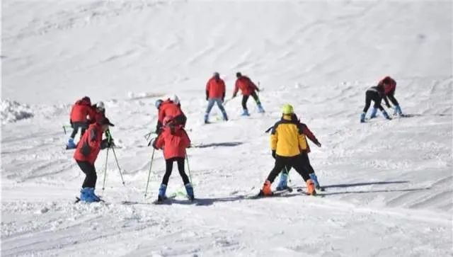 云南省文化和旅游厅