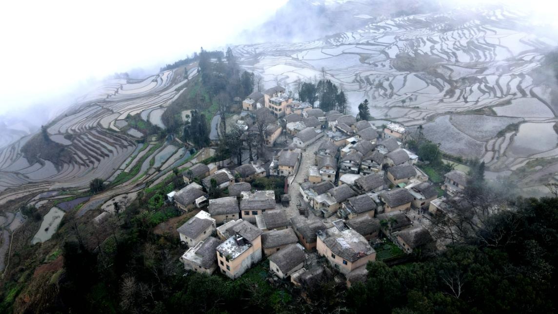 云南省文化和旅游厅