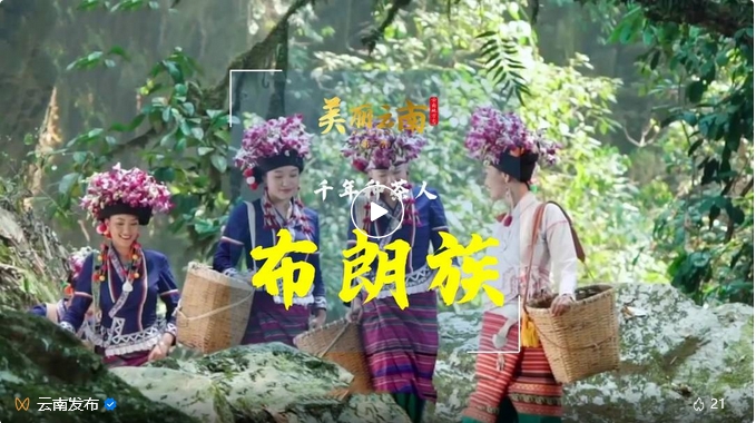 云南省文化和旅游厅