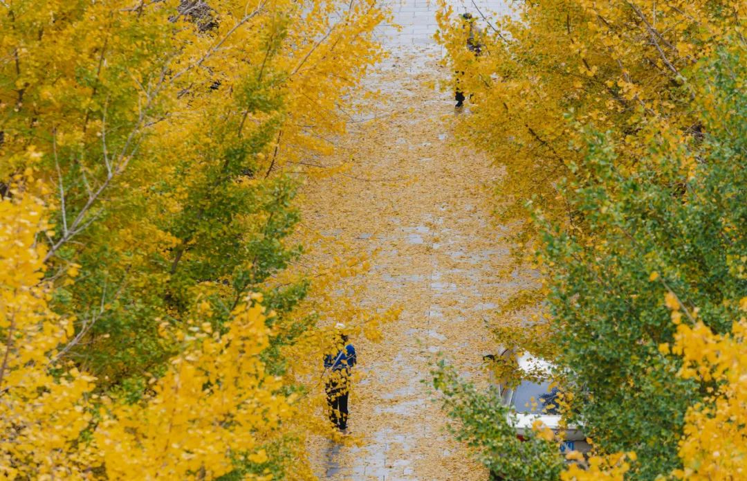 晋宁诗意的栖居地