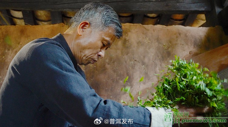 普洱茶（贡茶）制作技艺_http://www.mainten.cn_cns_第1张