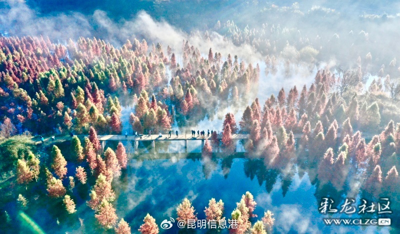 昆明信息港微博