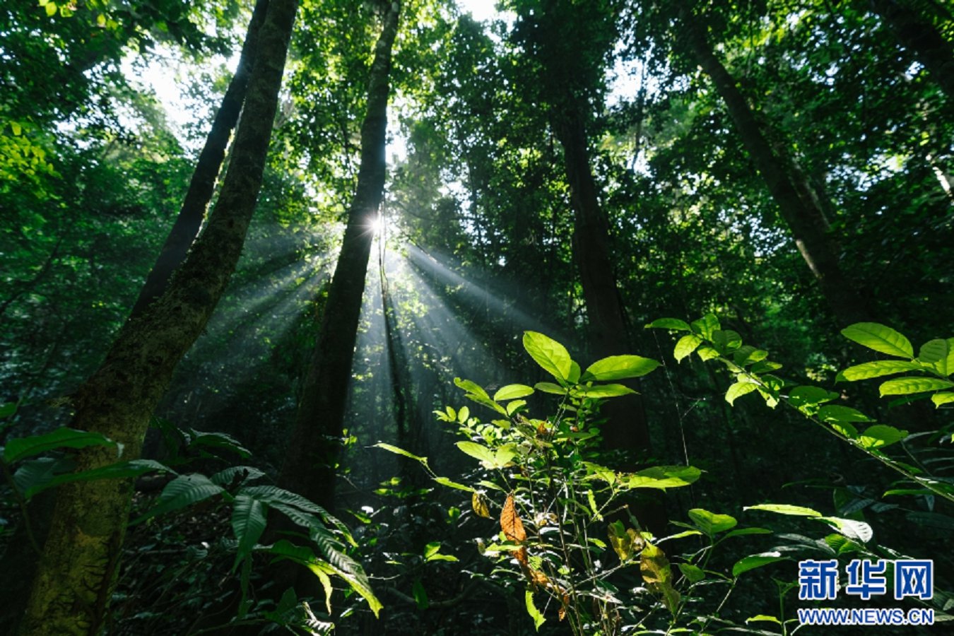 云南省文化和旅游厅