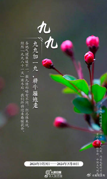 嵩明发布
