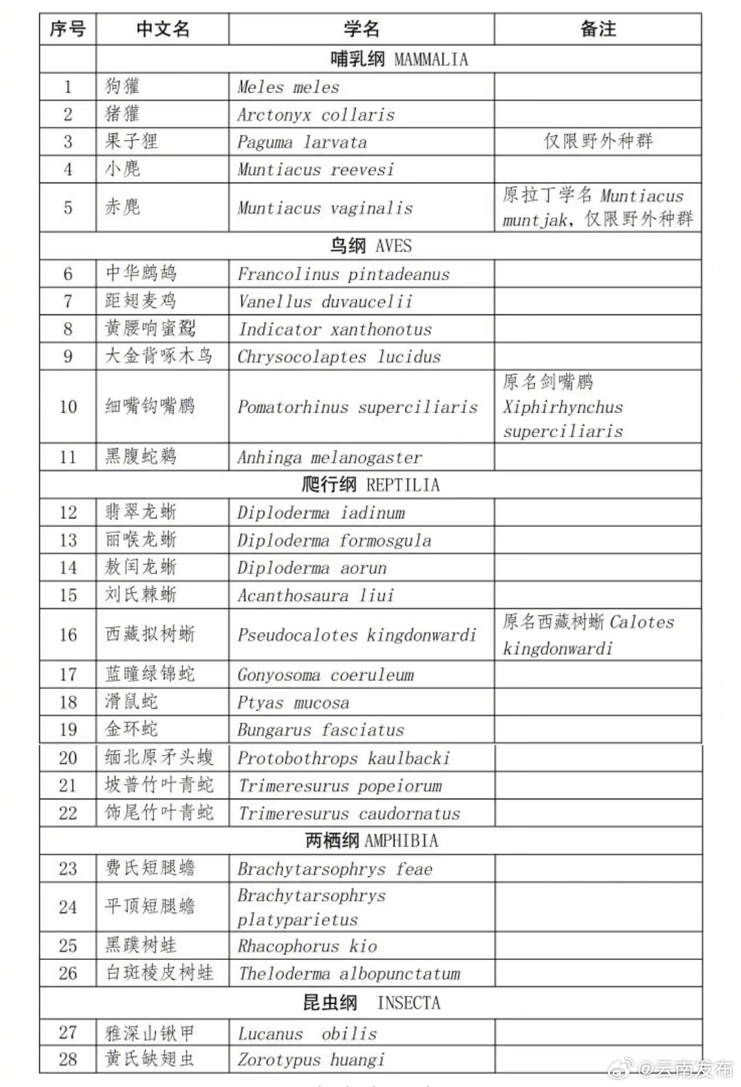 28个！云南省重点保护陆生野生动物名录出炉