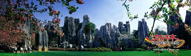 石林旅游网