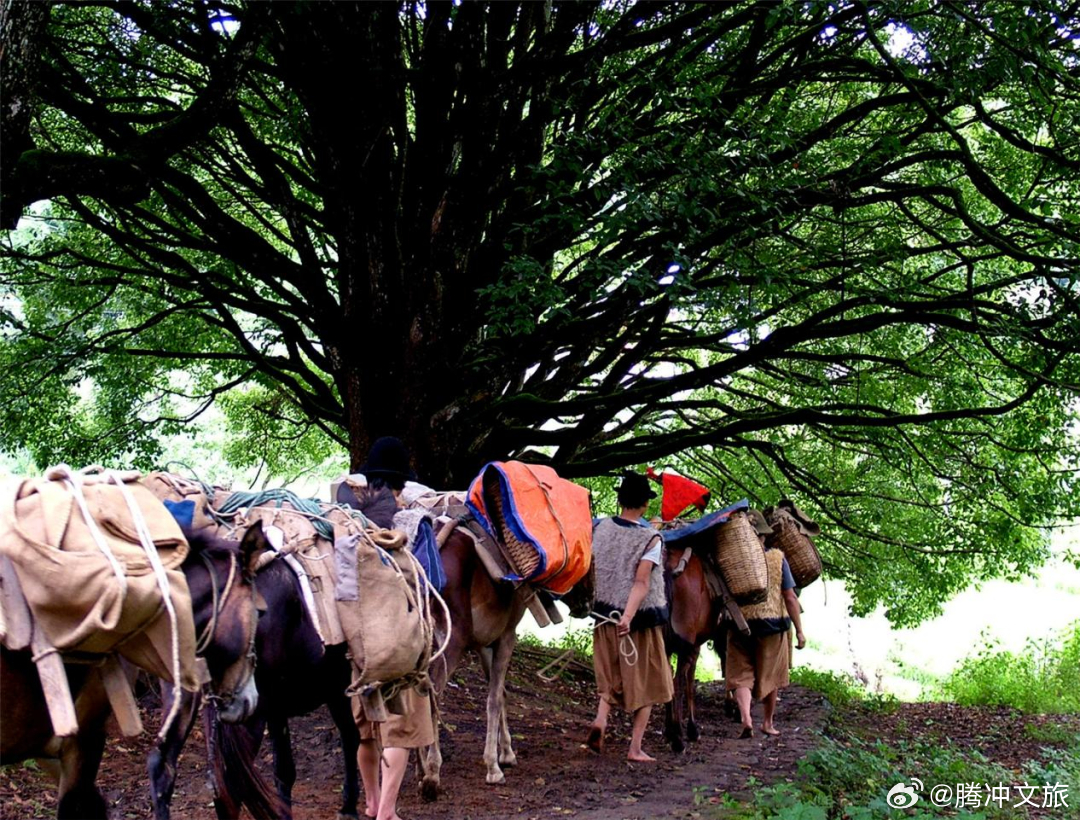 腾冲文旅