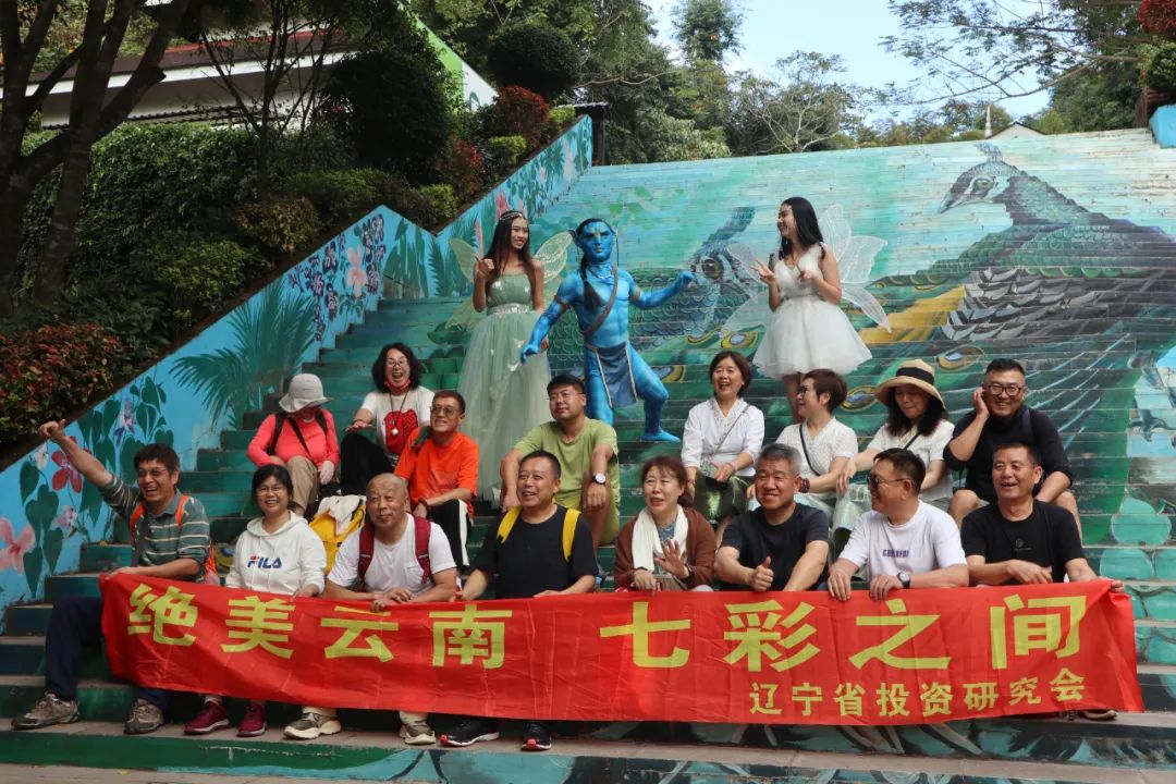 西双版纳望天树景区