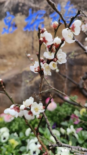 昆明市文化和旅游局