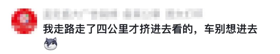 “人从众”模式启动！几万人同时观鸥！昆明最全观鸥打卡点来了_http://www.mainten.cn_cns_第5张