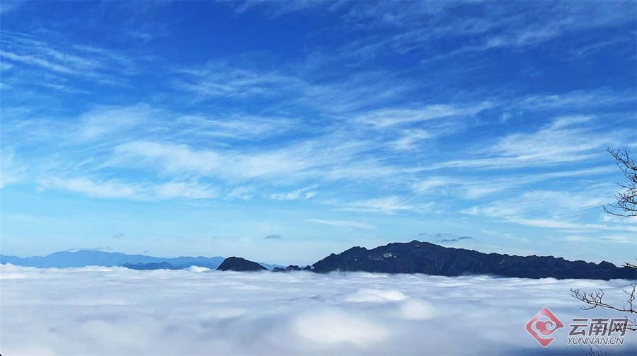 云南省文化和旅游厅