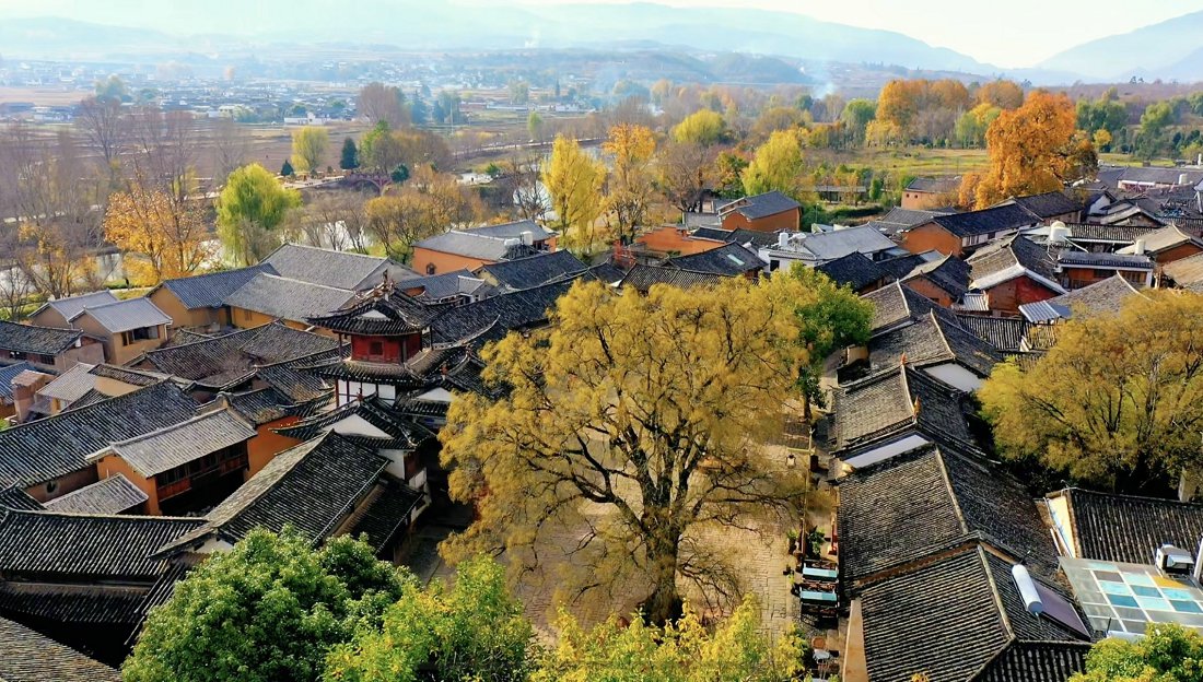 云南省文化和旅游厅