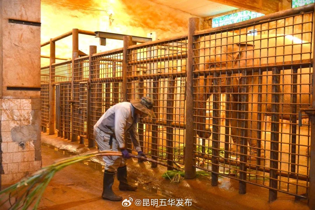 昆明五华发布