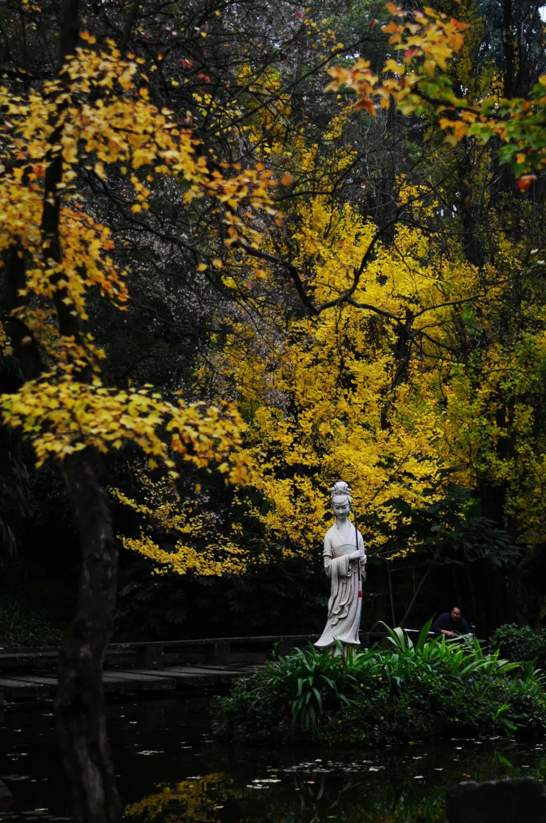 繁霜霏霏，铜瓦飞檐，老树枯藤，仕女爱了~_http://www.mainten.cn_cns_第21张
