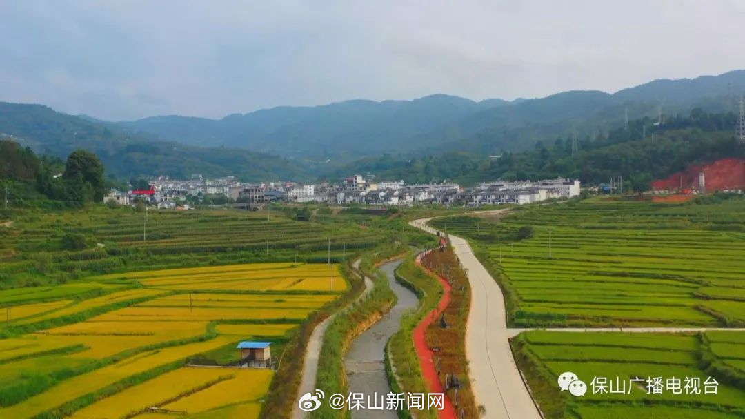 保山新闻网