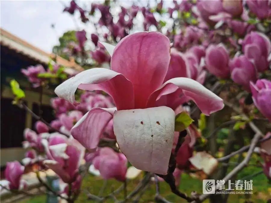 昆明文旅