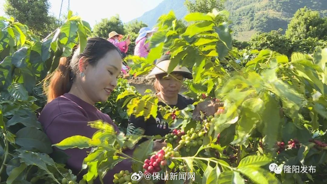 保山新闻网