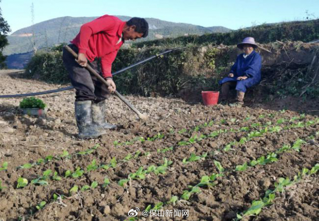 保山新闻网