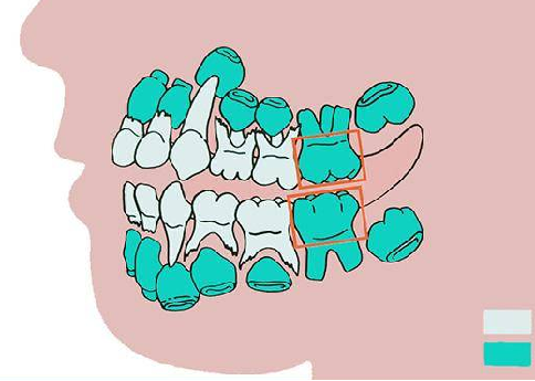 昆明医科大学附属口腔医院