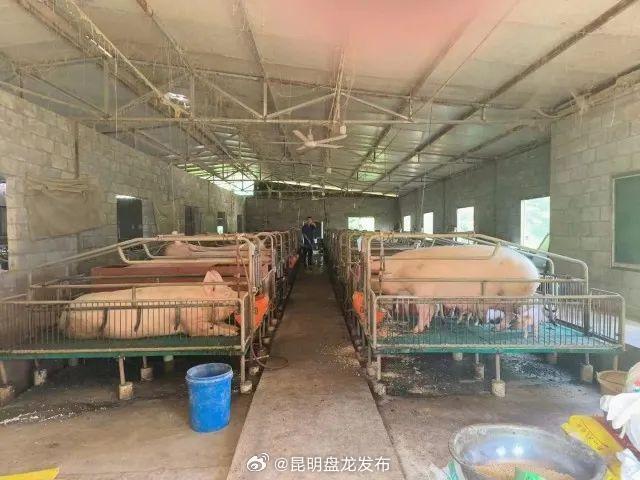 大关尾甲村巧用项目资金破解村集体增收难题