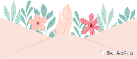 昆明市黑龙潭公园