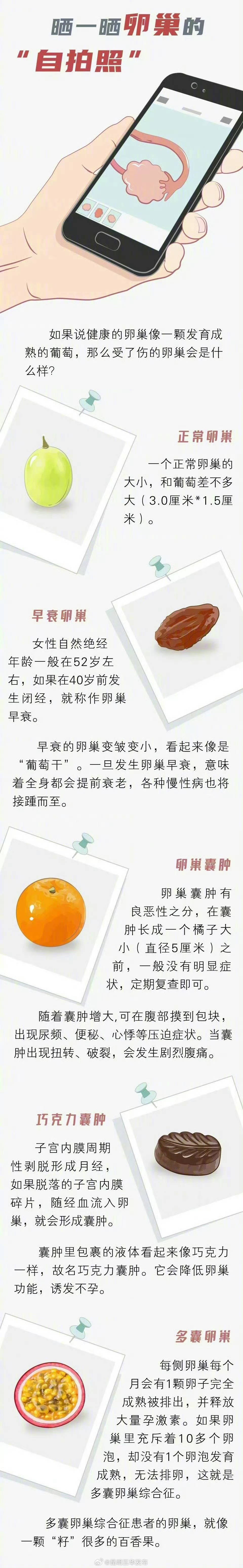 卵巢变老全过程_http://www.mainten.cn_cns_第2张
