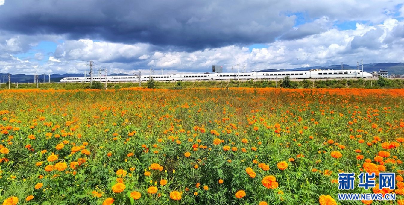 云南省文化和旅游厅