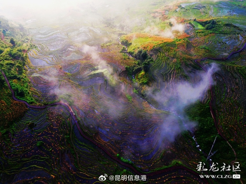 昆明信息港微博