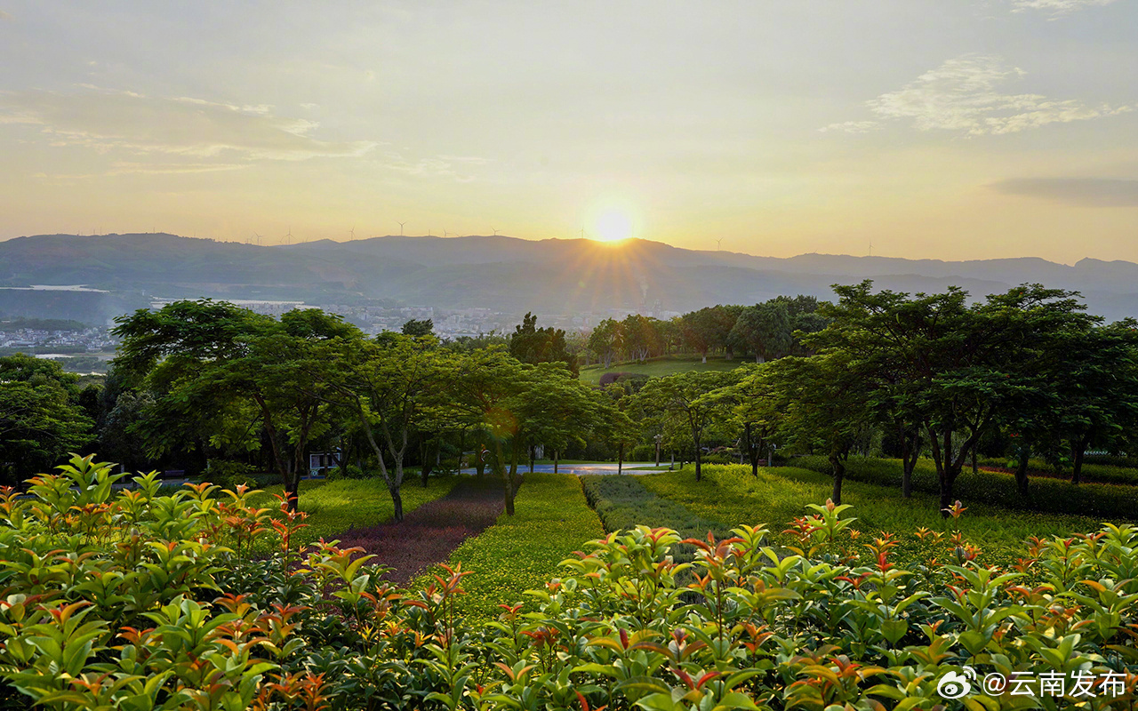 云南发布