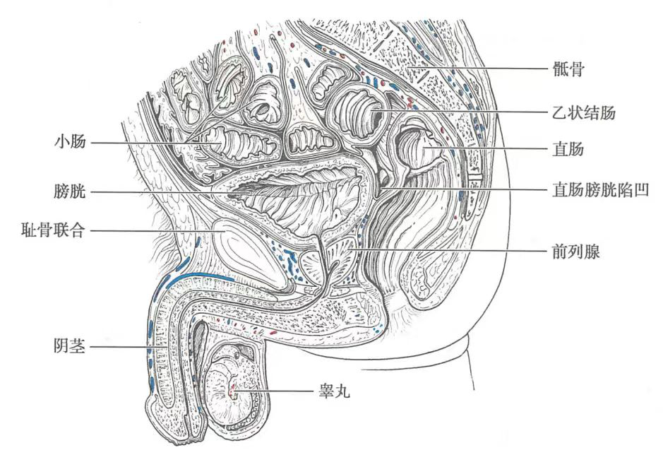曲靖市妇幼保健院