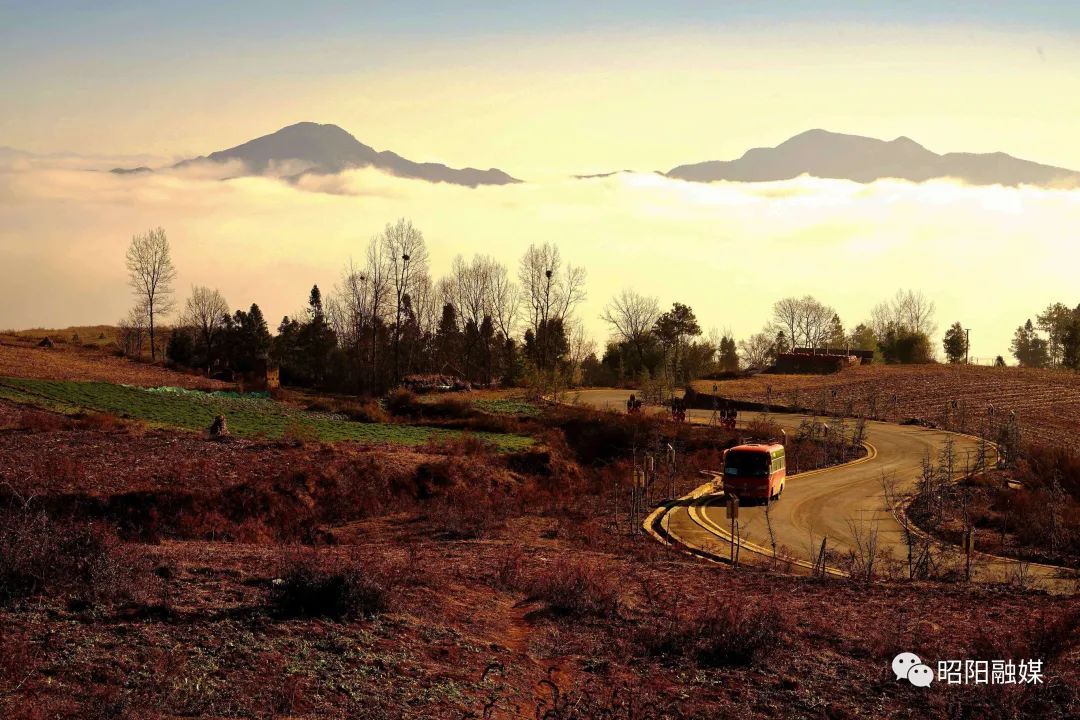 云南省文化和旅游厅