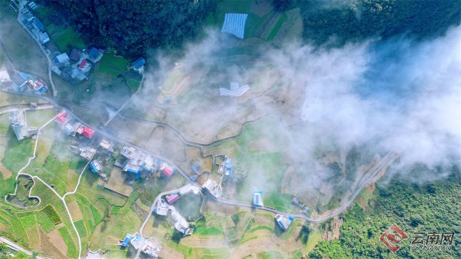 云南省文化和旅游厅