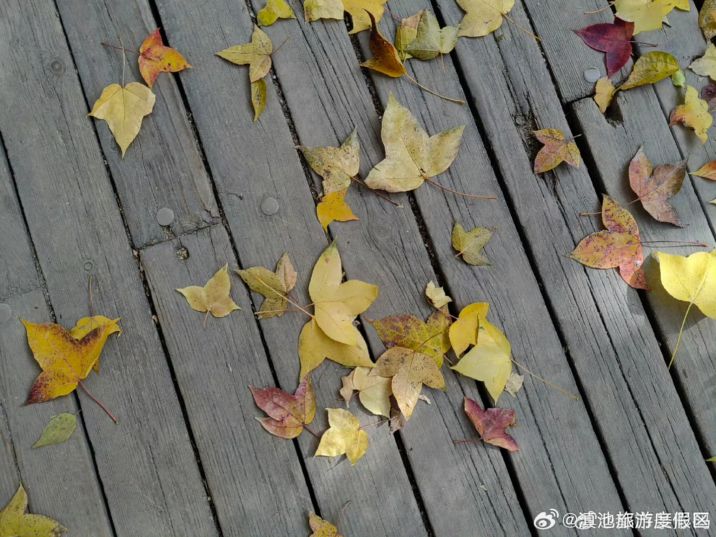 云南省未来24小时天气预报