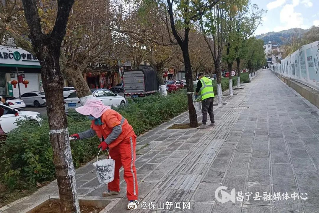 寒冬时节养护忙 昌宁绿植换“新装”_http://www.mainten.cn_cns_第1张