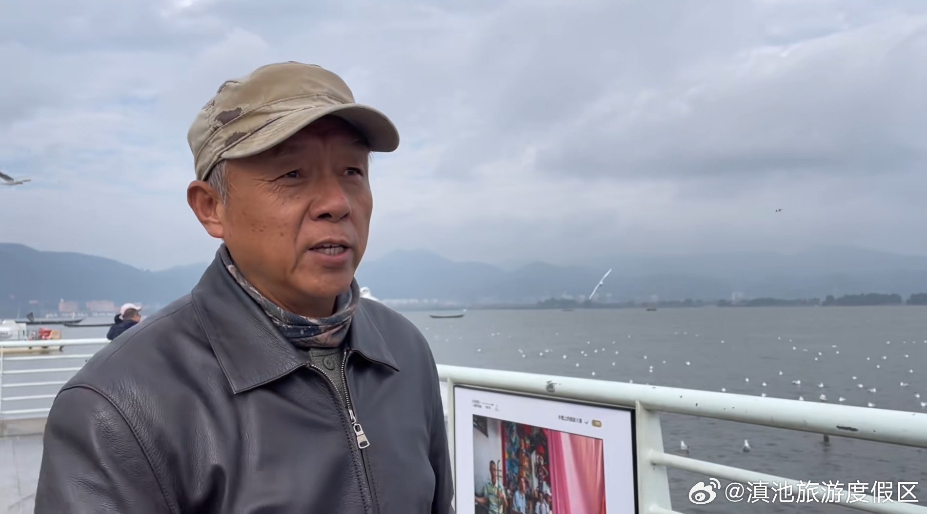 文明观鸥科学护鸥 你我共同行动