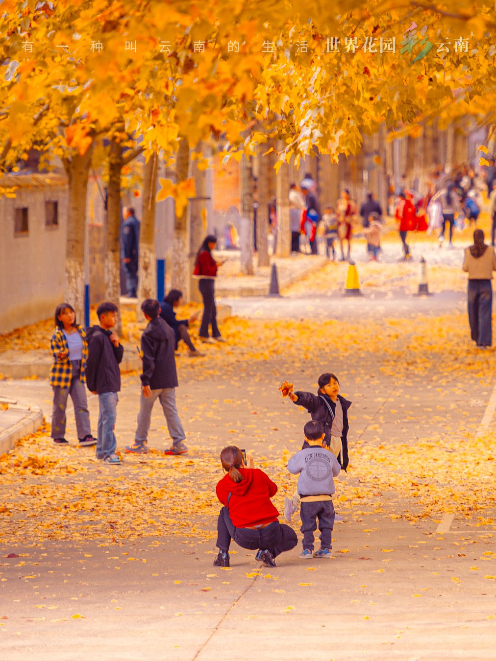 云南省文化和旅游厅