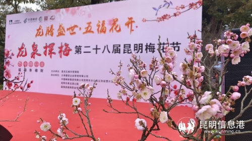 昆明市文化和旅游局