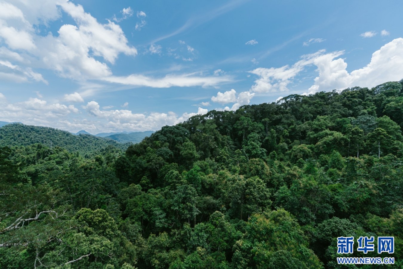 云南省文化和旅游厅