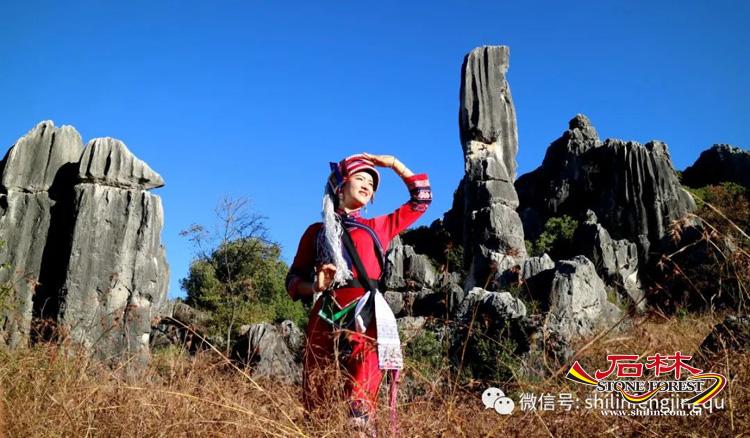 石林旅游网