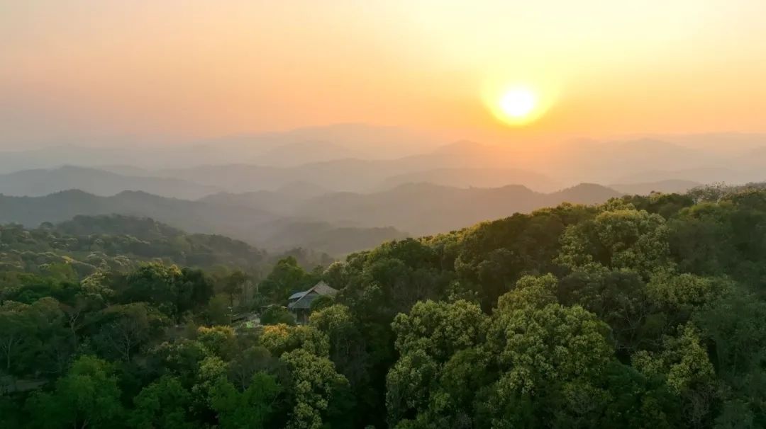 云南省文化和旅游厅
