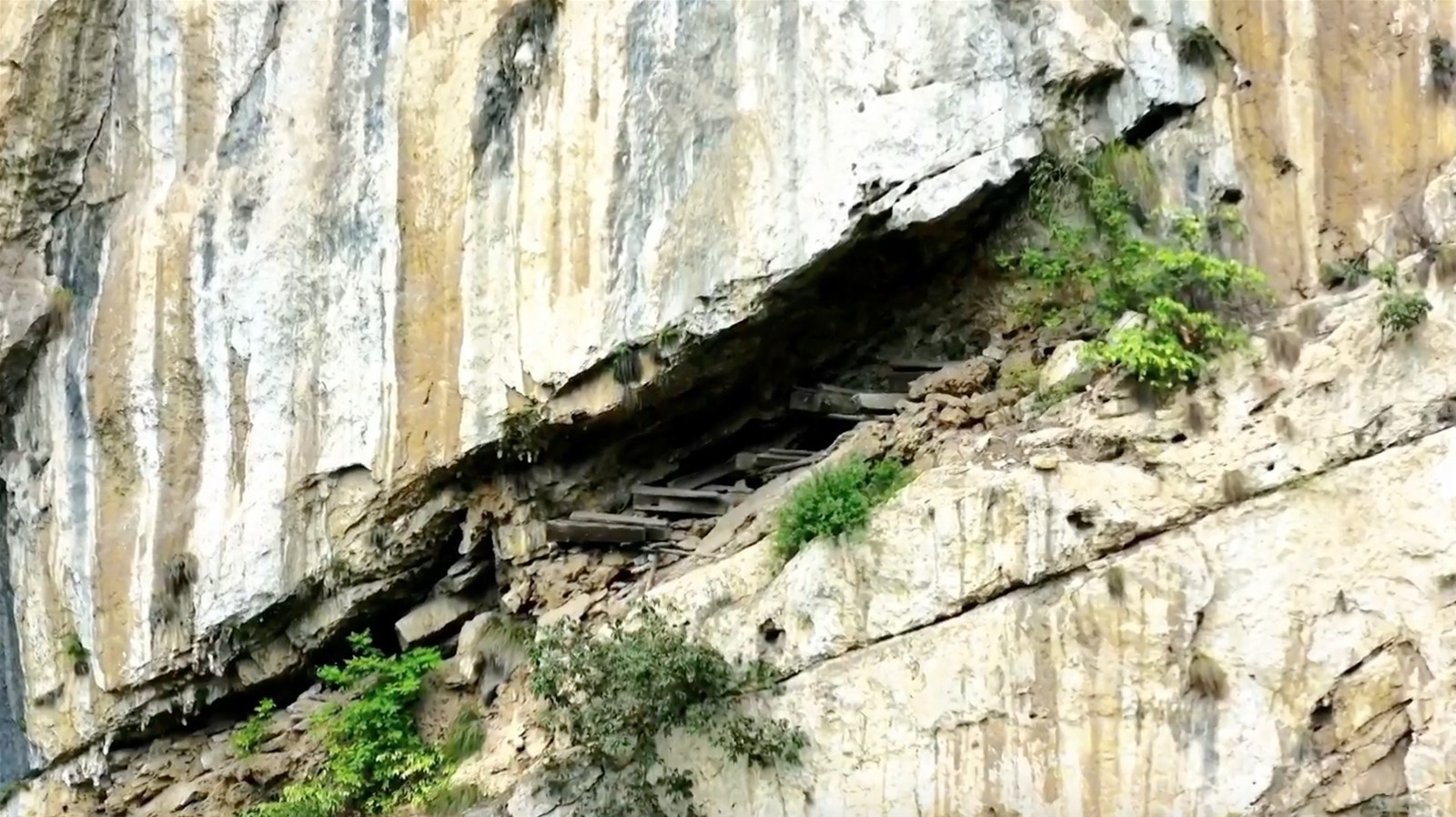 云南省文化和旅游厅